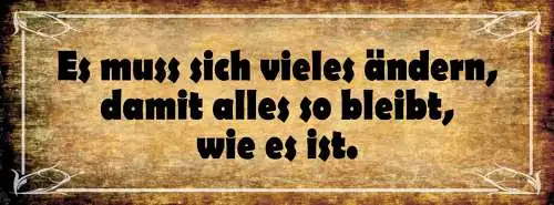 Schild Es Muss Sich Vieles Ändern Damit Alles So Bleibt Wie Es Ist 27x10