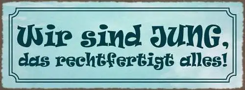 Schild Wir Sind Jung Das Rechtfertigt Alles Unerfahren 27x10 Blech od.Holz