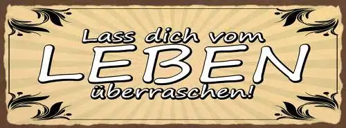 Schild Lass Dich Vom Leben Überraschen Kein Plan Offenheit 27x10 Blech od.Holz