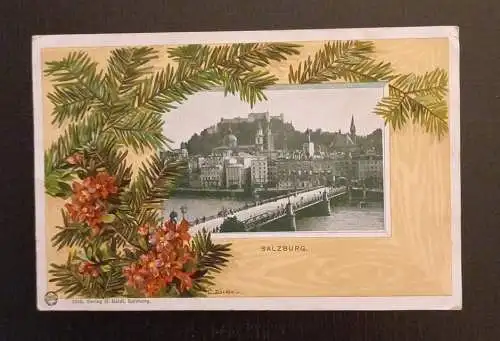 Salzburg Festung Tannenzweig 165790 H