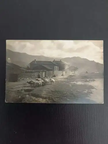 Landschaft mit Schafe 180317 GR A