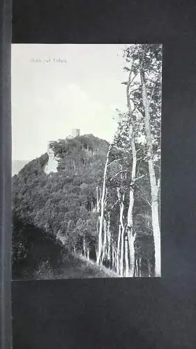 Blick auf Trifels Berg Wald 140467 jw J