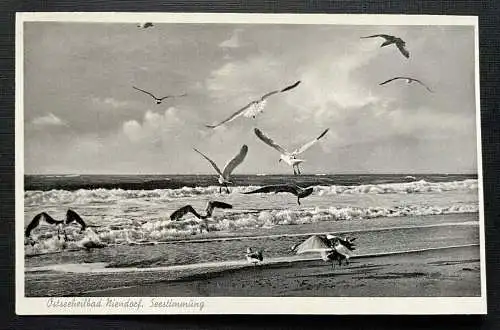 Ostseeheilbad Niendorf Seestimmung Möwe Schleswig-Holstein Deutschland 401088 A