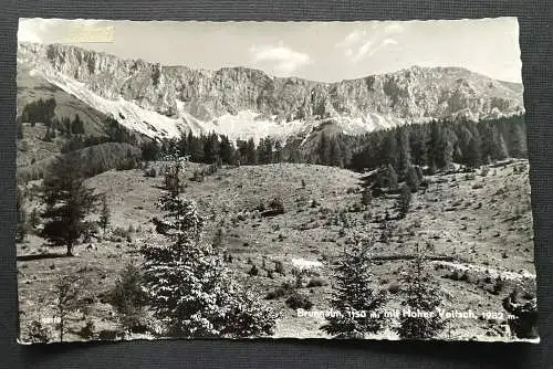 Brunnalm Hoher Veitsch Berg Gebirge Mürztal Steiermark Österreich 401024 TH A
