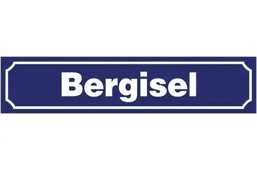 Schild Bergisel Innsbruck Tirol Skisprung Ort Straße Platz 46 x 10 Blech od.Holz