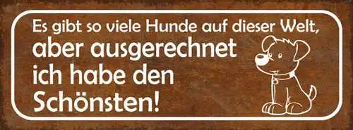 Schild es gibt viele hunde auf der welt aber ausgerechnet ich habe den schönsten