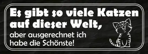 Schild Es Gibt Viele Katzen Auf Der Welt Aber Ausgerechnet Ich Hab Die Schönste