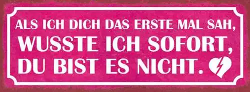 Schild als ich dich das erste mal sah wusste ich sofort du bist es nicht 27x10