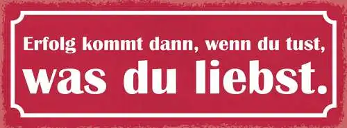 Schild Erfolg Kommt Dann Wenn Du Tust Was Du Liebst Leben 27x10 Blech od.Holz