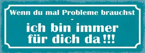 Schild Wenn Du Mal Probleme Brauchst Ich Bin Immer Für Dich Da Freunde 27x10