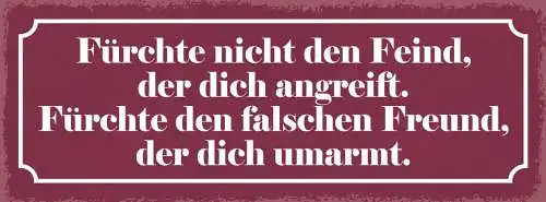 Schild Fürchte Nicht Den Feind Der Dich Angreift Falschen Freund Dich Angreift