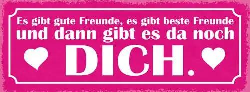 Schild Es Gibt Gute Freunde Best Freunde & Dann Gibt Es Da Noch Dich Liebe 27x10