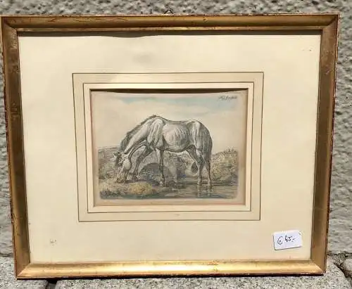 nostalgie bild, Zeichnung 1818, Pferd, Johann Adam, 32 x 26cm (300016)