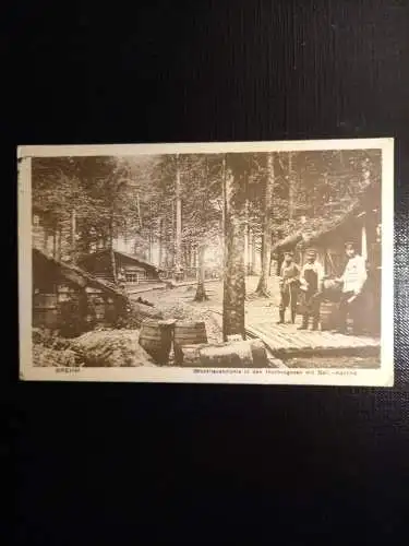 Brehm Blockhauskolonie 410560 gr C