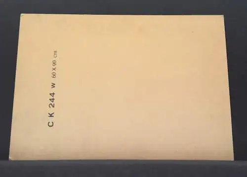 Marie Eugenie della Grazie Dichterin Österreich Porträt Zeichnung JW 650427 C