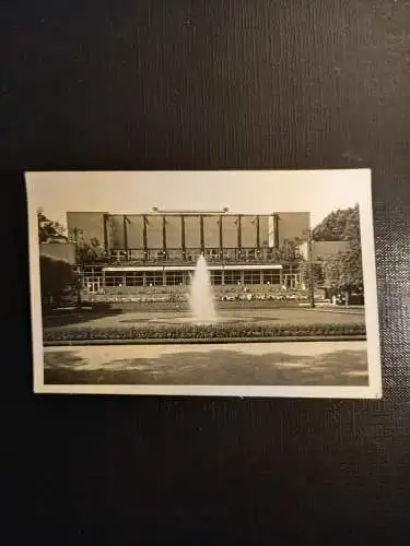 Palmengarten Frankfurt a.M. 410569 gr C