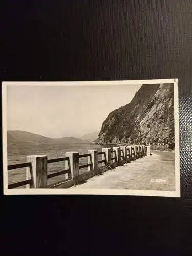 Lac du Bourget 400084 gr