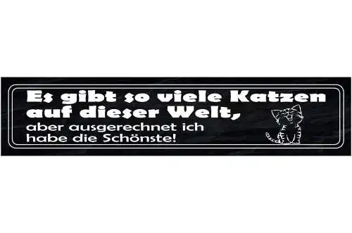 Schild es gibt so viele katzen auf dieser welt aber ich habe die schönste 46x10