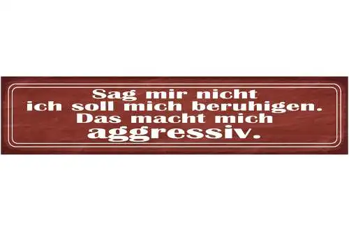 Schild Sag Mir Nicht Ich Soll Mich Beruhigen Das Macht Mich Aggressiv 46 x 10