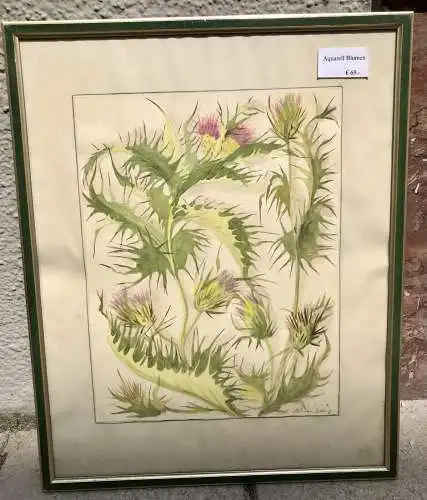 Aquarell Blumen, 1968, Inkl Rahmen 42x52cm, (300032)