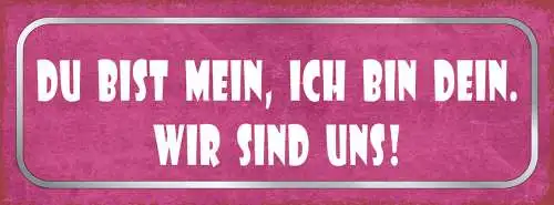 Schild Du Bist Mein Ich Bin Dein Wir Sind Uns Liebe Paar Ehe 27x10 Blech od.Holz
