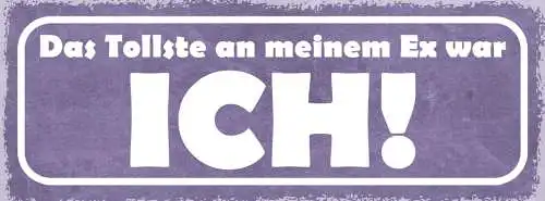 Schild Das Tollste An Meinem Ex War Ich Liebe Ehe Paar 27x10 Blech od.Holz