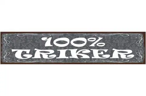 Schild 100% Trinker Alkohol Bier Trinken Betrunken Lokal 46 x 10 Blech od. Holz