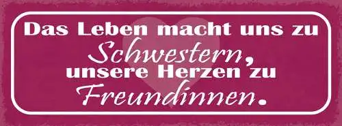 Schild Das Leben Macht Uns Zu Schwestern Unsere Herzen Zu Freundinnen 27x10