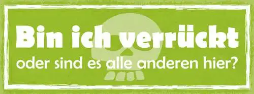 Schild Bin Ich Verrückt Oder Sind Es Die Anderen Irre 27x10 Blech od.Holz