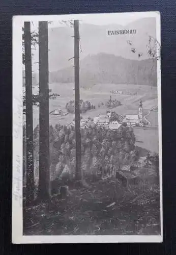 Salzburg Faistenau 600731A gr