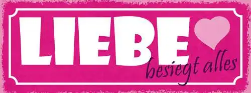 Schild Liebe Besiegt Alles Ehe Paar Beziehung Familie 27x10 Blech od.Holz