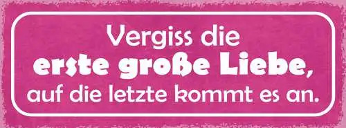Schild Vergiss Die Erste Grosse Liebe Auf Die Letzte Kommt Es An 27x10