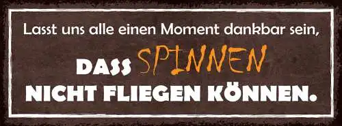 Schild lasst uns alle dafür dankbar sein dass spinnen nicht fliegen können 27x10