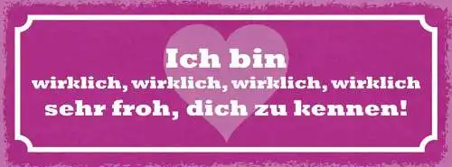 Schild ich bin wirklich 4x sehr froh dich zu kennen liebe 27x10 blech od.holz