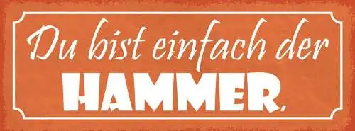 Schild du bist der hammer super liebe beziehung ehe paar 27x10 blech od.holz