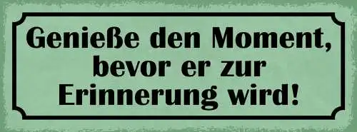 Schild genieße den moment bevor er zur erinnerung wird 27x10 blech od.holz