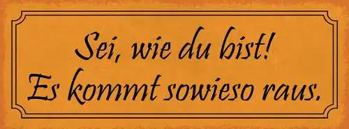 Schild sei wie du bist es kommt sowieso raus charakter 27x10 blech od.holz