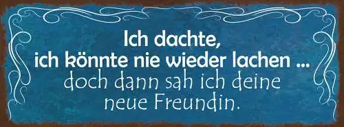 Schild Ich Dachte Ich Könnte Nie Wieder Lachen Dann Sah Ich Deine Neue Freundin