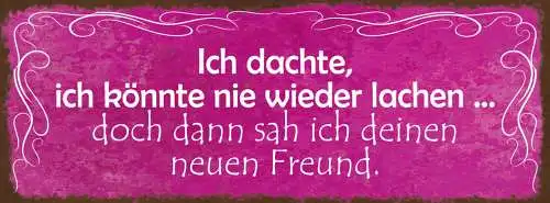 Schild Ich Dachte Ich Könnte Nie Wieder Lachen Dann Sah Ich Deinen Neuen Freund