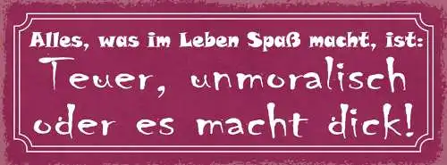 Schild Alles Was Im Leben Spaß Macht Ist Teuer Unmoralisch Oder Es Macht Dick