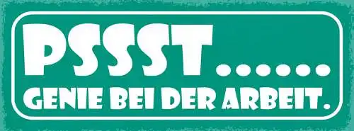 Schild Pssst... Genie Bei Der Arbeit Genius Genial Job 27x10 Blech od.Holz