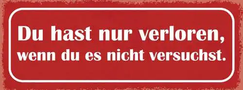 Schild Du Hast Nur Verloren Wenn Du Es Nicht Versuchst 27x10 Blech od.Holz