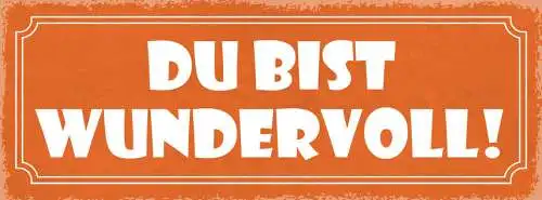 Schild Du Bist Wundervoll Liebe Beziehung Ehe Paar 27x10 Blech od.Holz