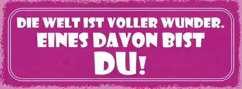 Schild Die Welt Ist Voller Wunder Eines Davon Bist Du Liebe 27x10 Blech od.Holz