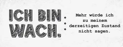 Schild ich bin wach mehr würde ich zu meinen derzeitigen zustand nicht sagen