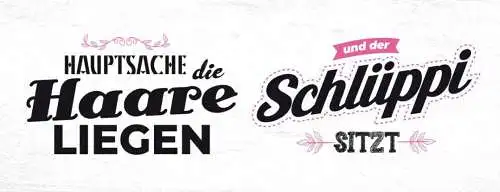 Schild hauptsache die haare liegen & der schlüppi sitzt 27x10 blech od.holz