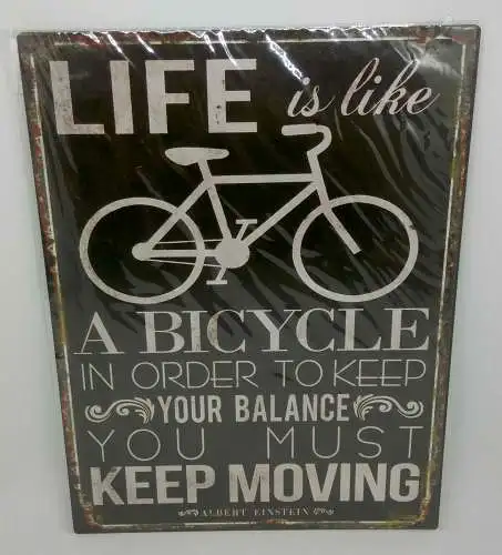 Nostalgie Retro Schild "Life is like a bicycle" 35x26 50243