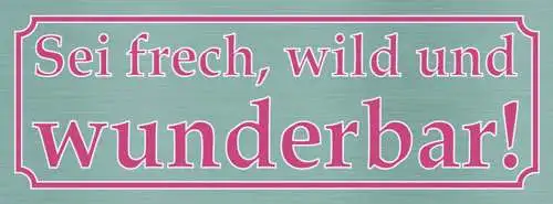 Schild Sei Frech Wild & Wunderbar Einzigartig Jung Aktiv 27 x 10 Blech od. Holz