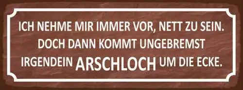 Schild Ich Nehme Mir Immer Vor Nett Zu Sein Ungebremst Irgendein Arschloch Ecke