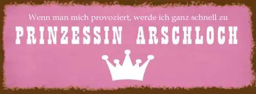 Schild Wenn Man Mich Provoziert Werde Ich Ganz Schnell Zu Prinzessin Arschloch
